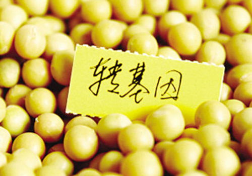 真相了！一文搞懂转基因食品与日用品的检测方法