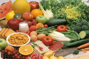 营养师之路 韩国中部大学食品营养学留学申请与就业前景分析